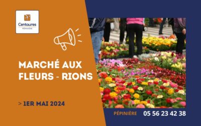 Participation au marché aux fleurs de Rions